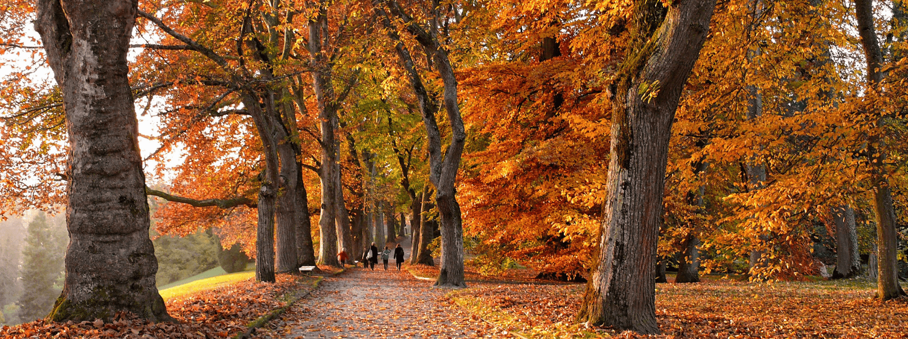 10 Abnehmtipps, um diesen Herbst den Versuchungen zu widerstehen