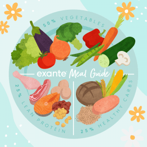 exante meal guide illustration with vegetales, protein and grains