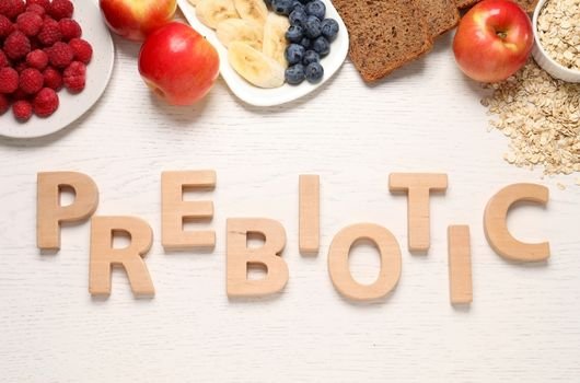 prebiotics and gut health