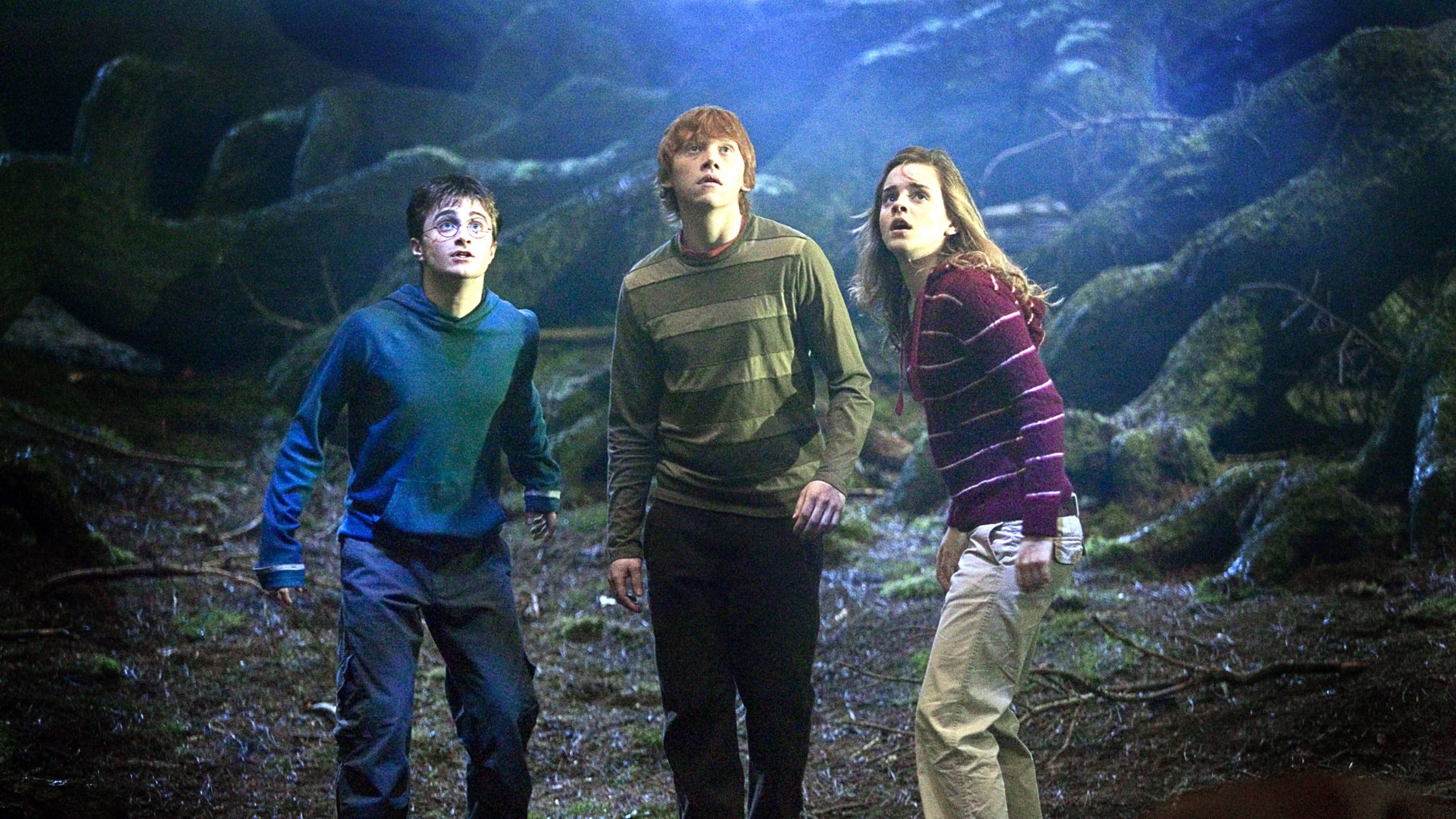 Harry Potter Film Series In Order