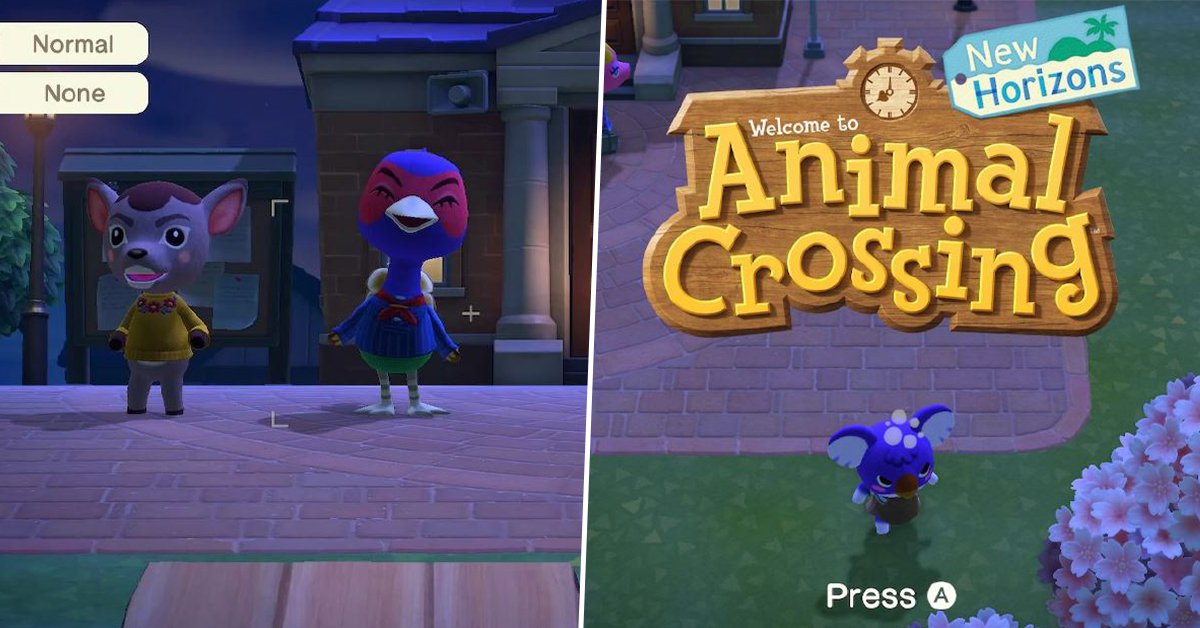 animal crossing afterpay