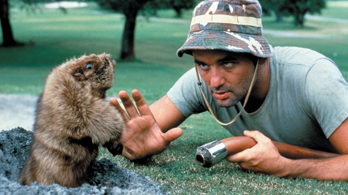 Caddyshack At 40 How A National Lampoon Disaster Became An All Time Great