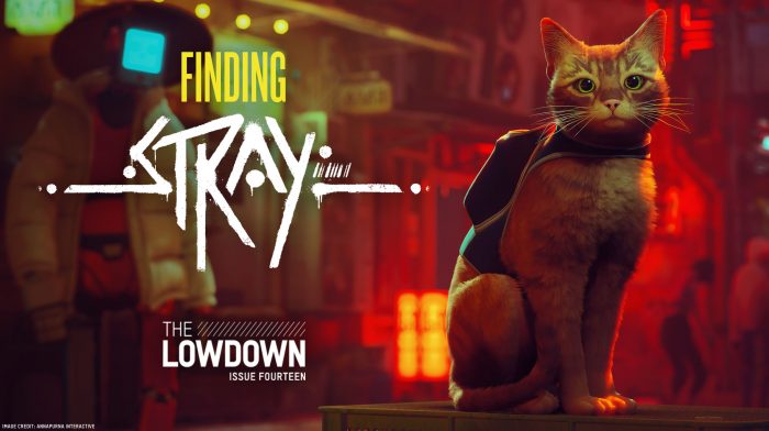 Stray' players are adding their cats to the game with mods - The Washington  Post