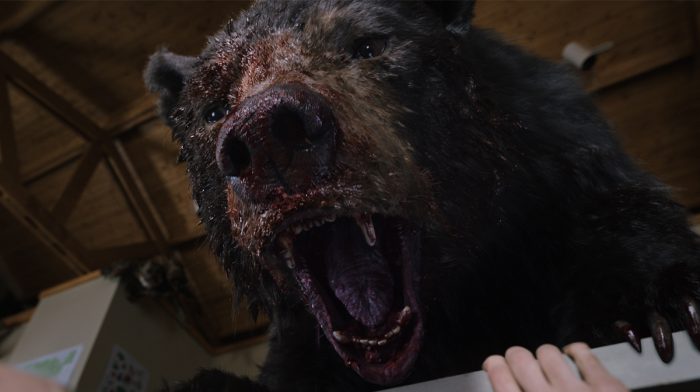 Cocaine Bear Writer Wants To Start A Cocaine Cinematic Universe