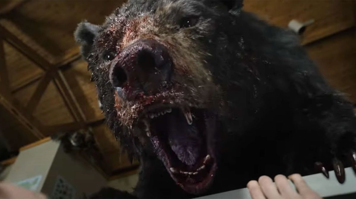 Cocaine Bear 2? Where The Cocaine Cinematic Universe Can Go Next