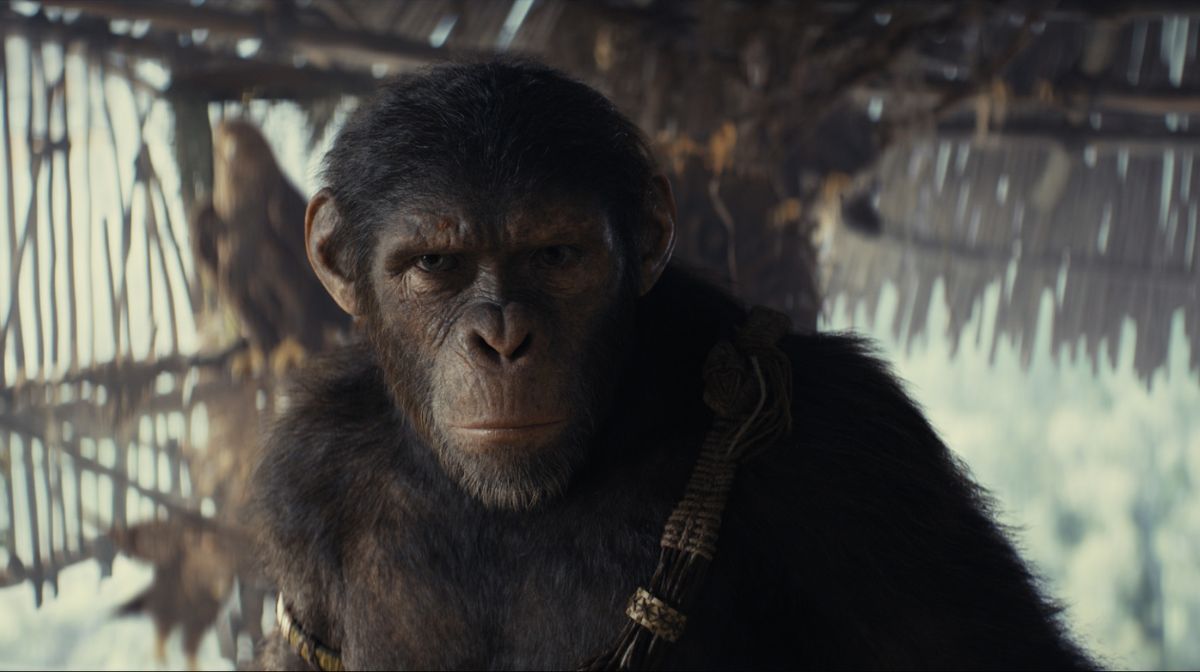 Kingdom Of The Planet Of The Apes Director Reveals Why His Movie Is A Biblical Story