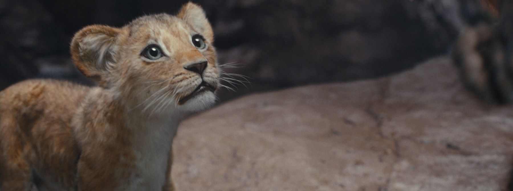 Mads Mikkelsen, Barry Jenkins And Billy Eichner Take Us Behind The Scenes Of Mufasa