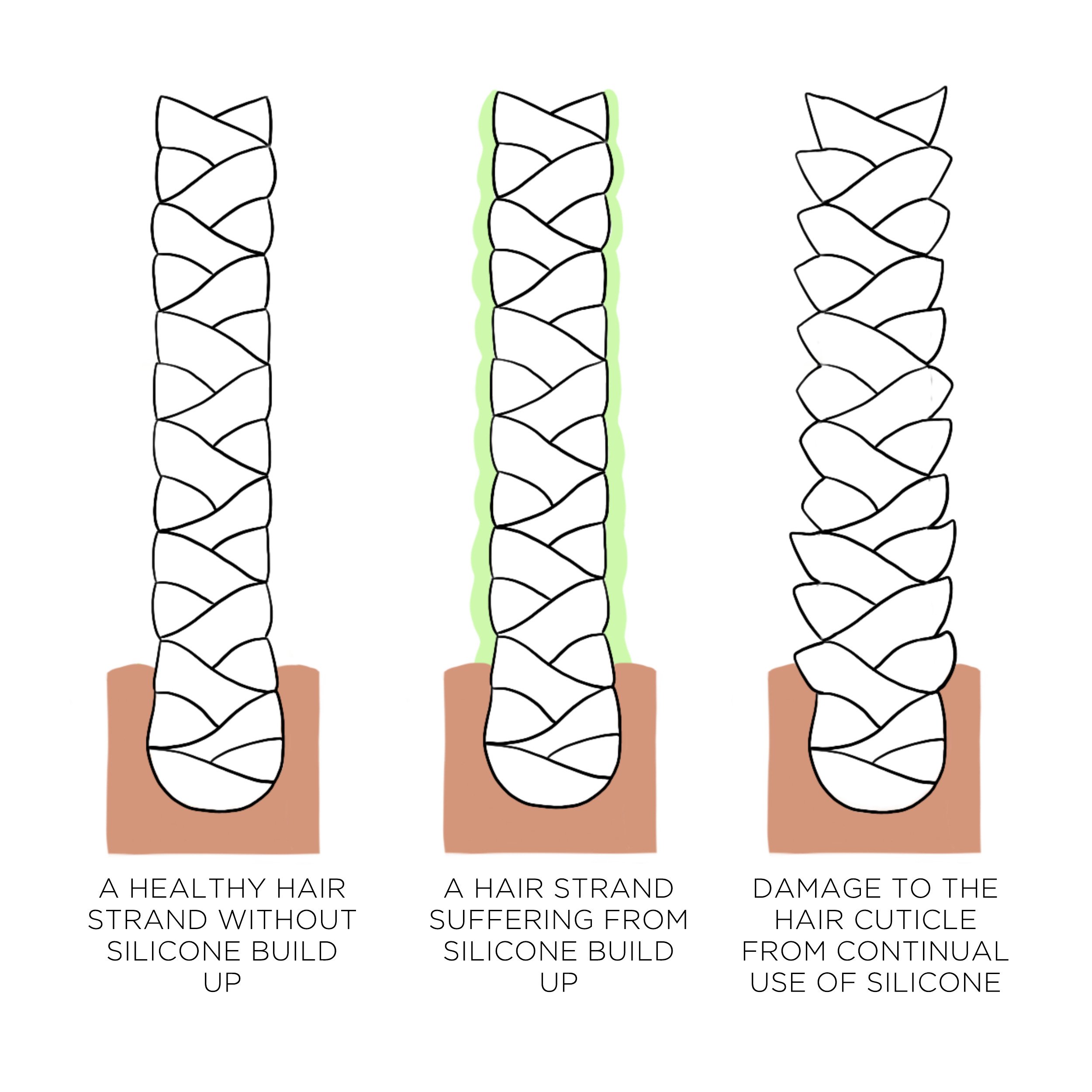 Infographic showing a healthy hair strand, a hair strand suffering from silicone build up and a hair strand suffering from cuticle damage due to continual use of silicone 