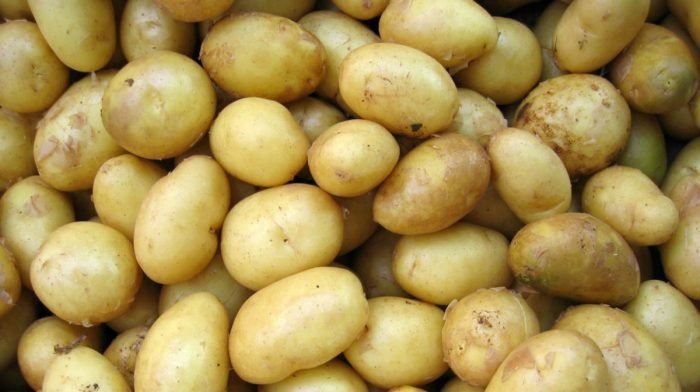protein fra kartofler