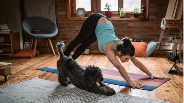 10 grundlæggende yogastillinger for begyndere | Yoga Made Easy
