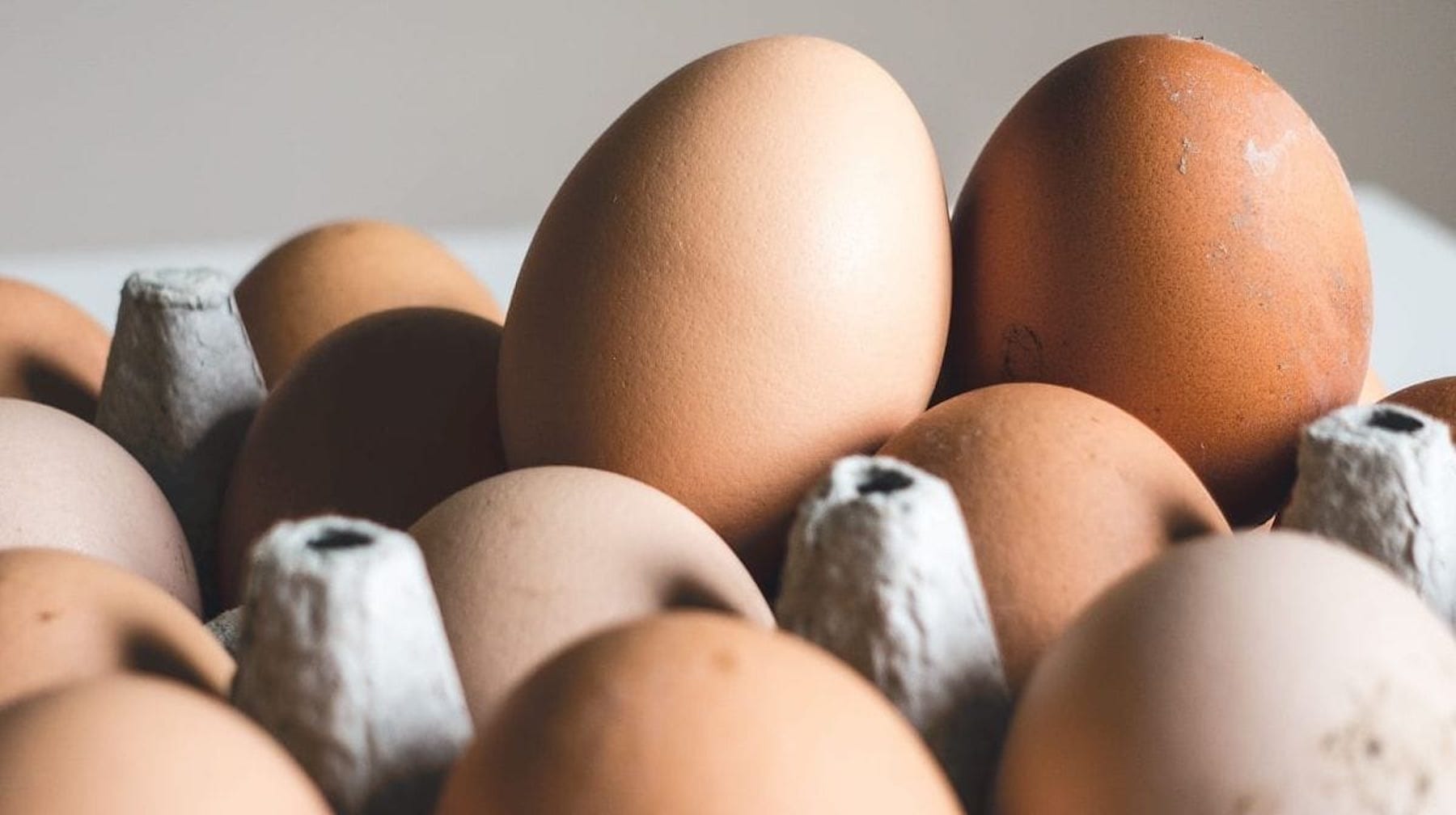dialekt let Hvor fint Hvad er æg-diæten? Er den god til vægttab? - MYPROTEIN™