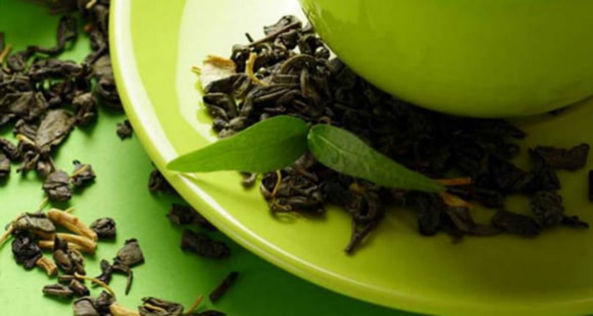 экстракт зеленого чая