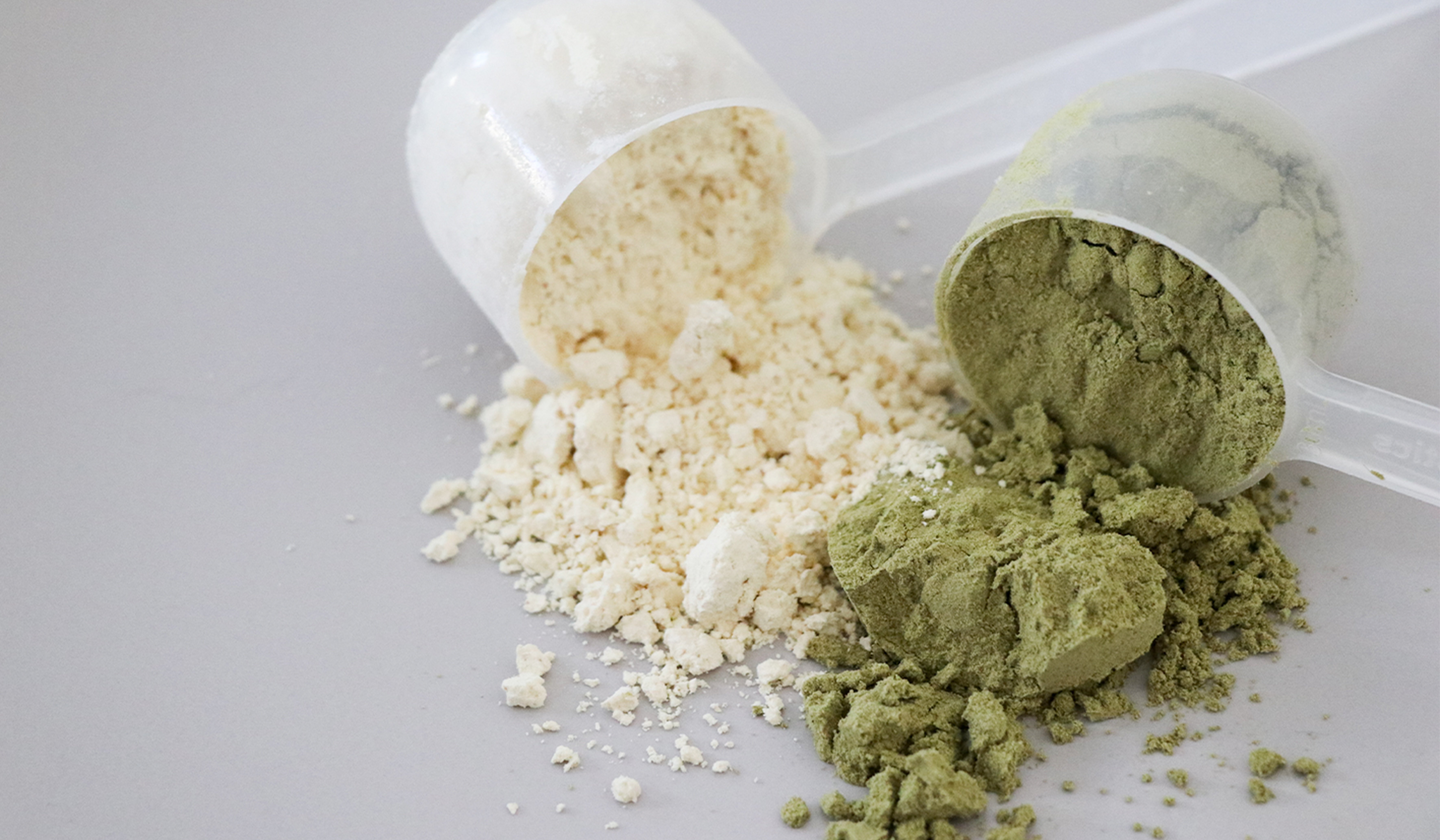Plant-Based Protein vs Whey | Is Whey Protein Vegan?