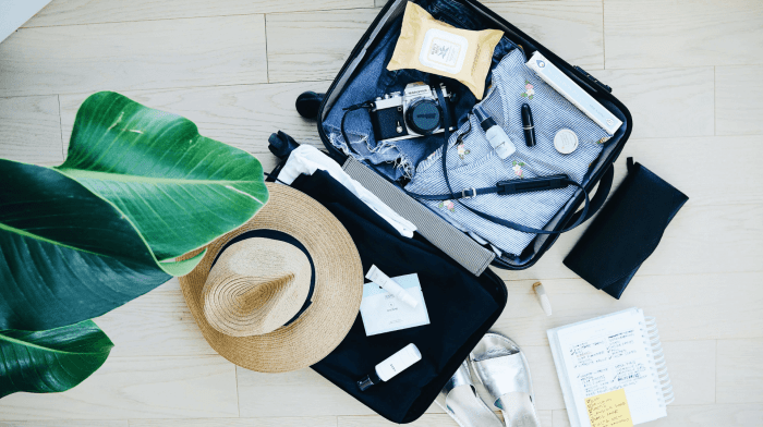 5 Must Have Travel Items | Fly Smart with Our Holiday Travel Kit