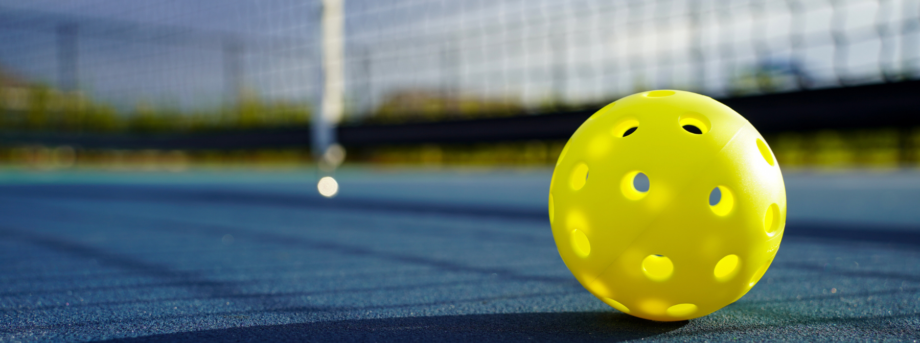 Pickleball: The Fastest-Growing Sport in America