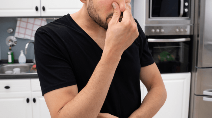 プロテインを飲むとおならが臭くなるってほんと？｜腸内細菌の変化と整える方法を解説
