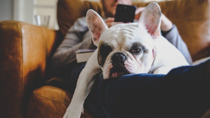 Dosta vam je treninga? Otkrivamo kako vratiti izgubljenu motivaciju