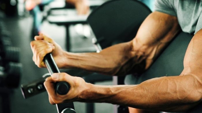 Développez votre masse musculaire grâce à nos conseils d’entraînement et de nutrition
