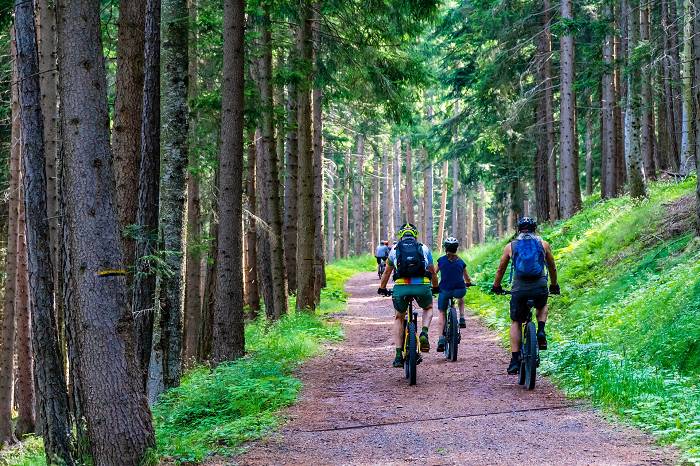 Ernährung für Radsportler: Was essen für eine große Tour?