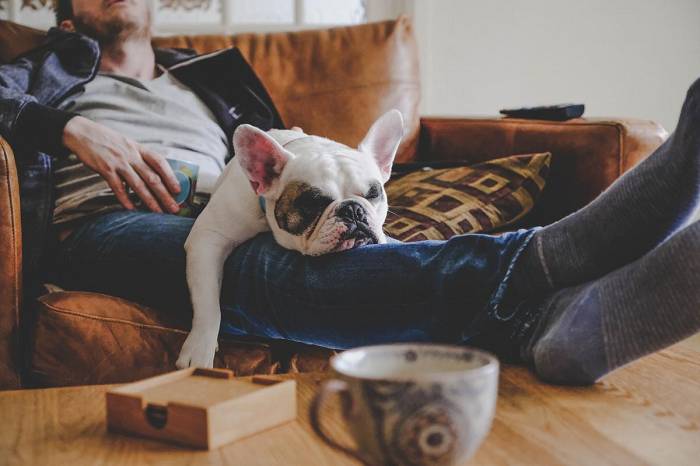 Tausche Sitzen gegen Stimmungs-Boost & Die beste Bewegung für Muskelaufbau | Die Top-Studien der Woche