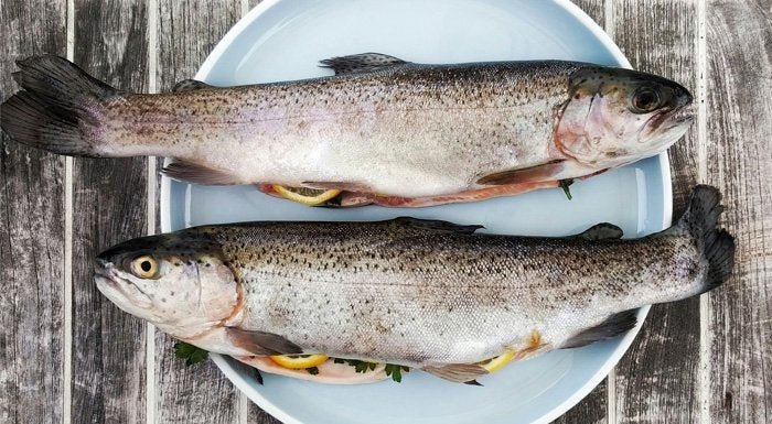 8 Vorteile von Fischöl