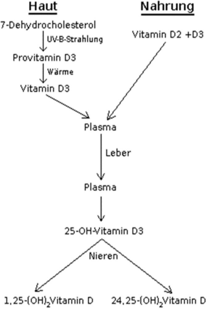 Vitamin D3 Tabletten, Kapseln oder Tropfen? | Dies ist die beste Vitamin D Form