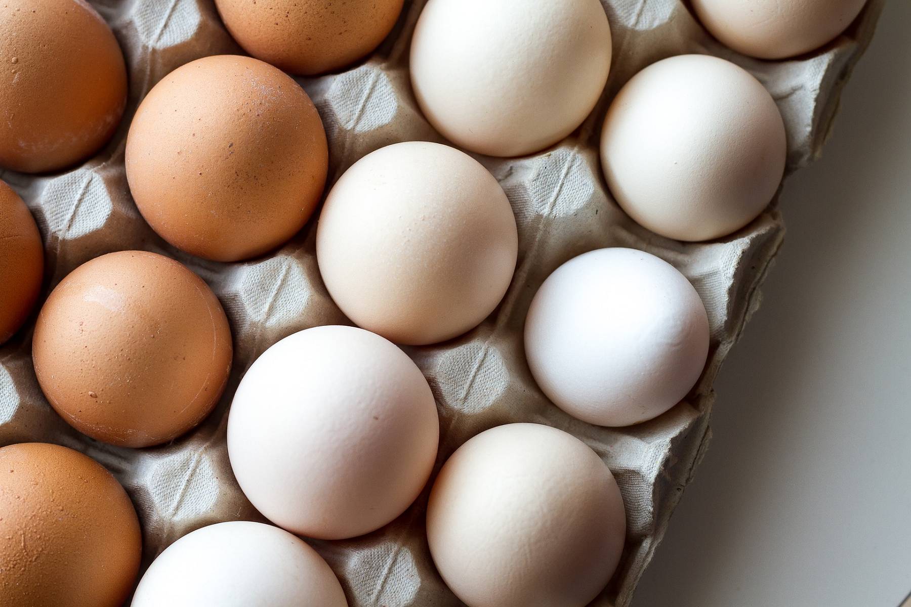 Wie viele Eier pro Tag gelten als unbedenklich?