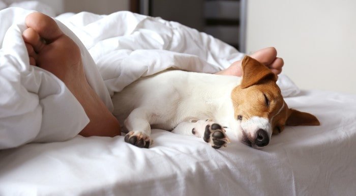 5 Tipps, um schneller einzuschlafen