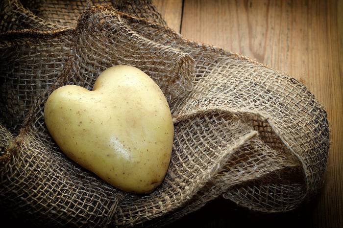 Kartoffeln in der Sporternährung: So gesund & vielseitig sind sie wirklich
