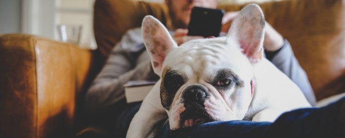 Keine Lust auf Fitness? So bringst du die Motivation zurück