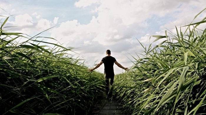 Das bessere Cardio? Wieso du öfters spazieren gehen solltest