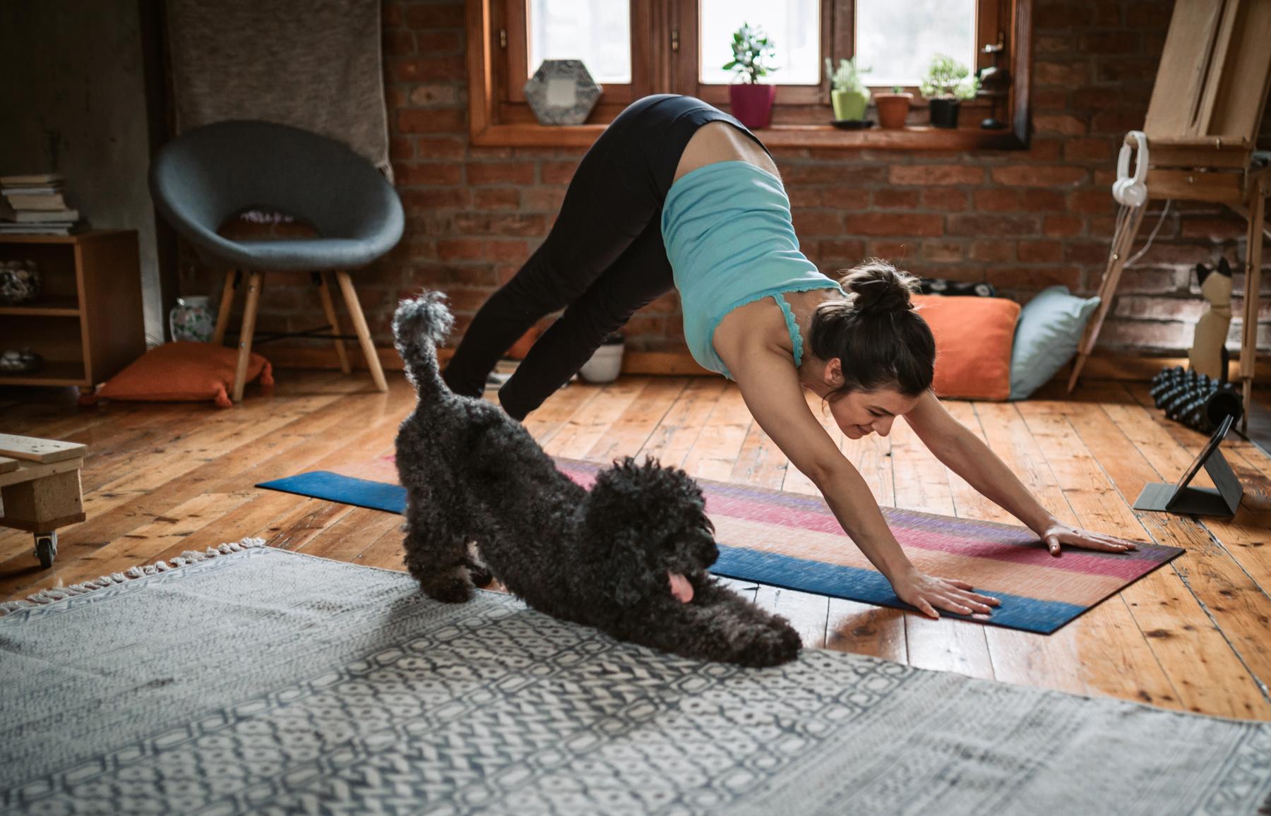 10 Basis Yoga-Übungen für Anfänger | Yoga Training einfach gemacht