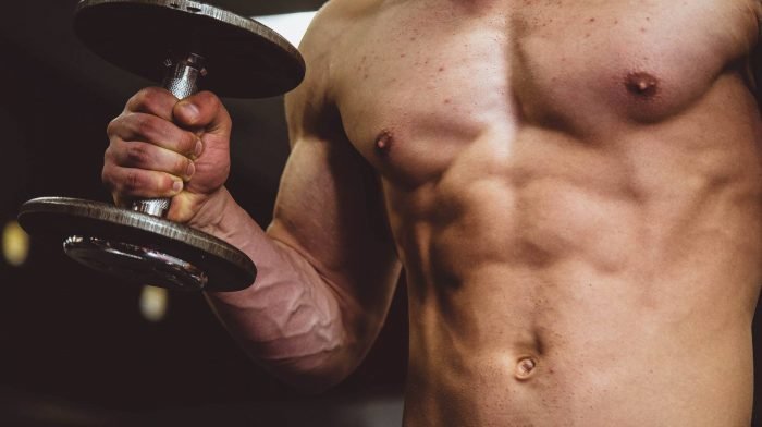Die besten Ganzkörper-Workouts für Muskel- und Kraftaufbau