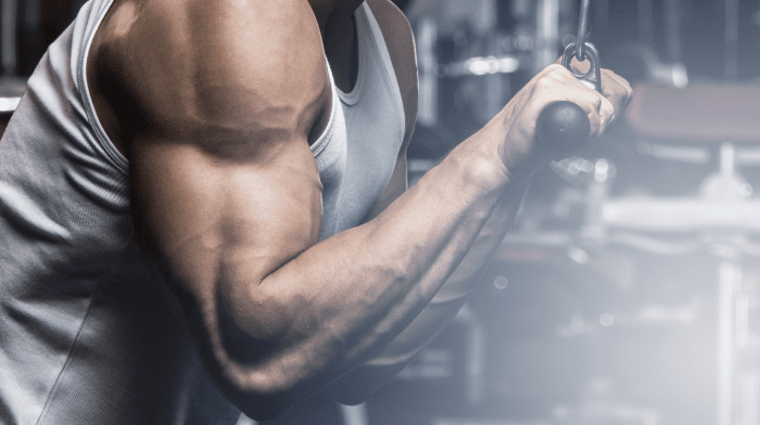 The Ultimate Workout for Bigger Arms | 13 Best Arm Exercises