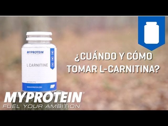 como tomar carnitina para quemar grasa como tomar carnitina para quemar grasa