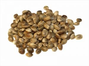 Semi di canapa