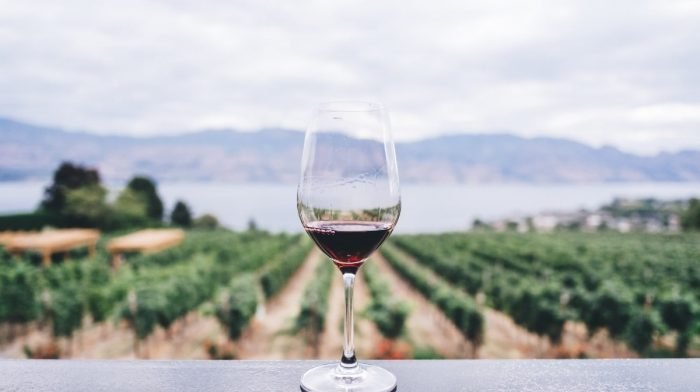 What Is Trans Resveratrol? | Benefits, Side Effects, Dosage