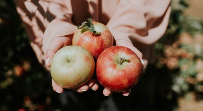 pollen food syndrome