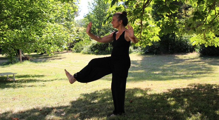 A woman in a garden surrounded by trees doing tai chi.