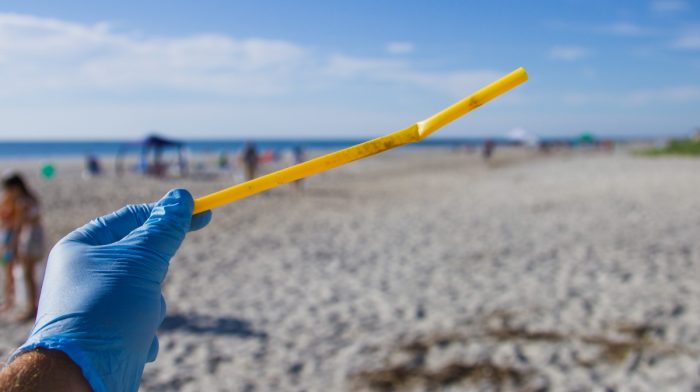 How To Help During Clean Beach Week