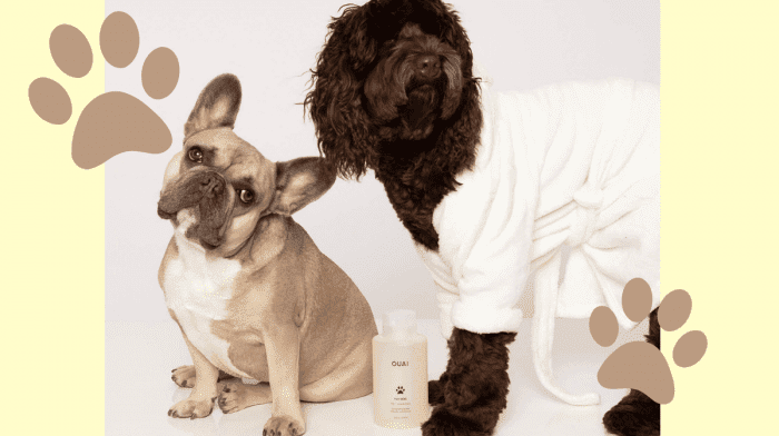 You Can Now Match Yours And Your Pooch's Haircare With This New Pet Pampering Shampoo!