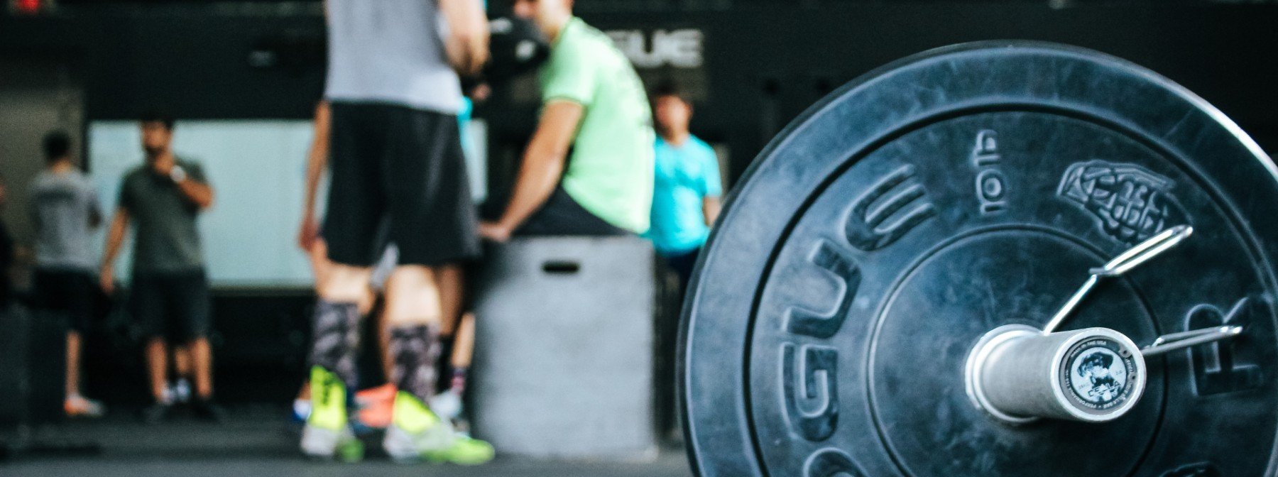 Can You Build Muscle With Just A Barbell? The Only Equipment You’ll Need For The Gym