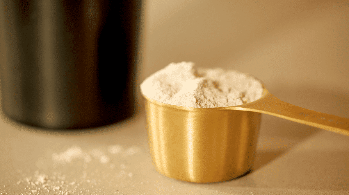 close up of a scoop of protein powder in a gold scoop