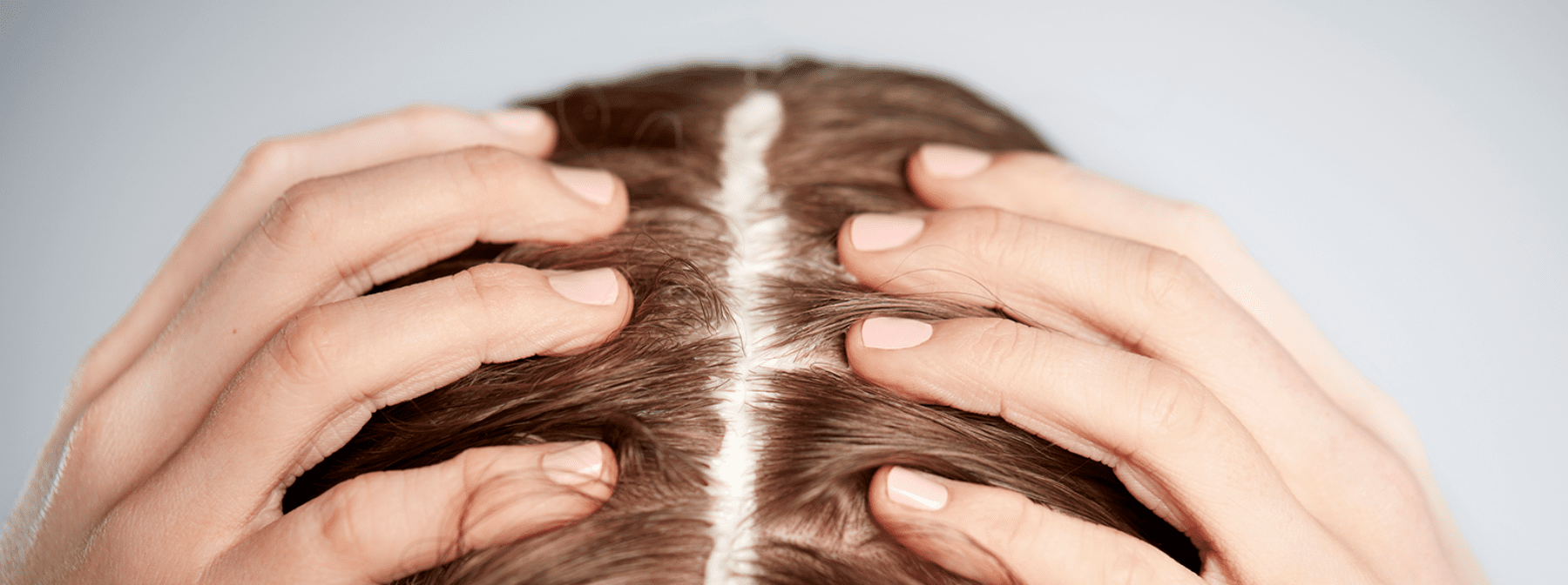 Scalp Health: Everything you need to know EXPLAINED