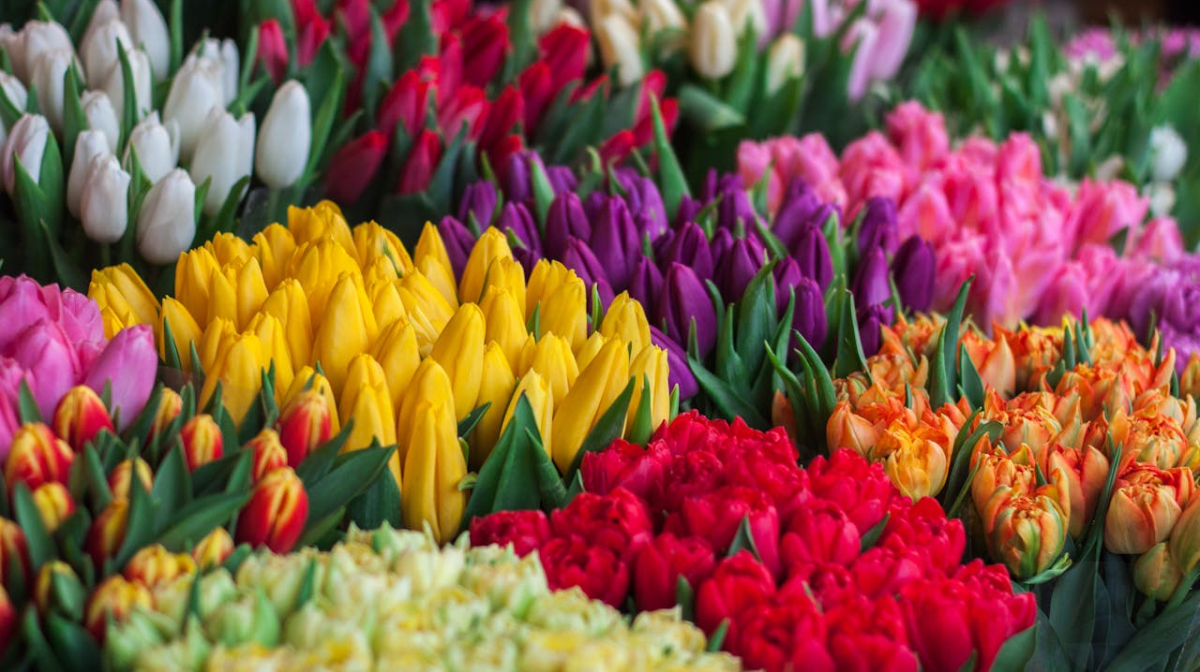 flowers for mothers day