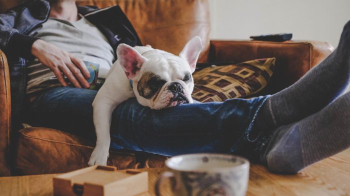 Prečo je dôležité mať dostatok oddychu medzi tréningami? | Rest day a pauzy medzi cvičením