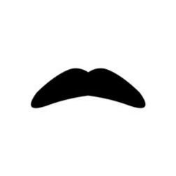 chevron moustache style