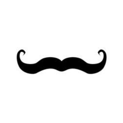 handlebar moustache style