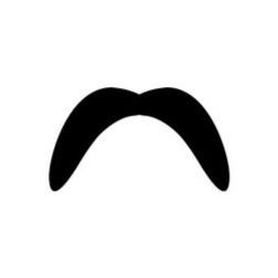 horseshoe moustache style