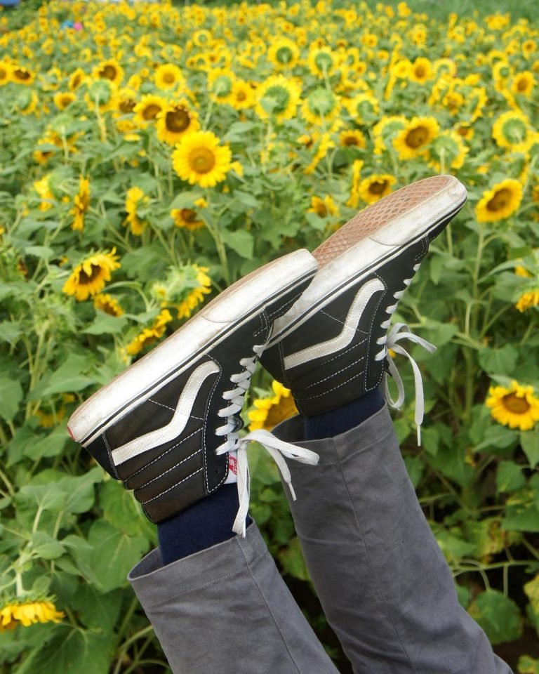 Vans Styles, Fit and History Vans Buyers Guide AllSole